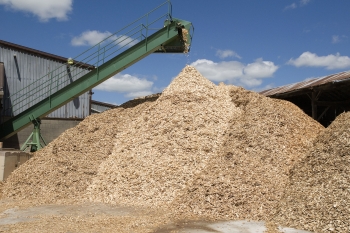 MỘT THỨ Ở VIỆT NAM BỊ BÃO YAGI TÀN PHÁ CÓ THỂ 