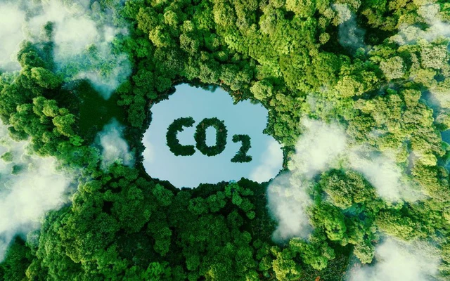 THỦ TƯỚNG YÊU CẦU HOÀN THIỆN ĐỀ ÁN PHÁT TRIỂN THỊ TRƯỜNG CÁC-BON TẠI VIỆT NAM