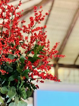 TẾT SUM VẦY – XUÂN HỘI TỤ